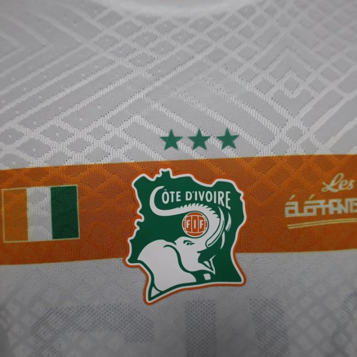 Côte d'Ivoire Maillot Extérieur Version Player 2023 2024