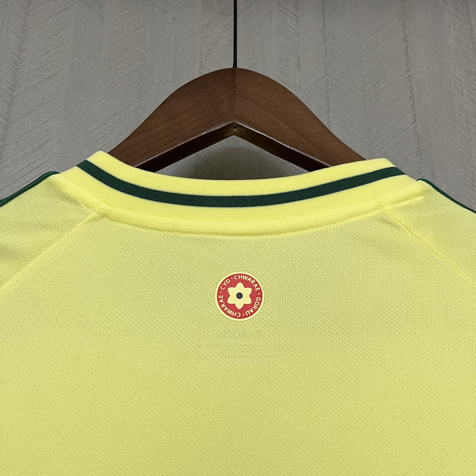 Pays de Galle Maillot Extérieur Version Fan 2024 2025