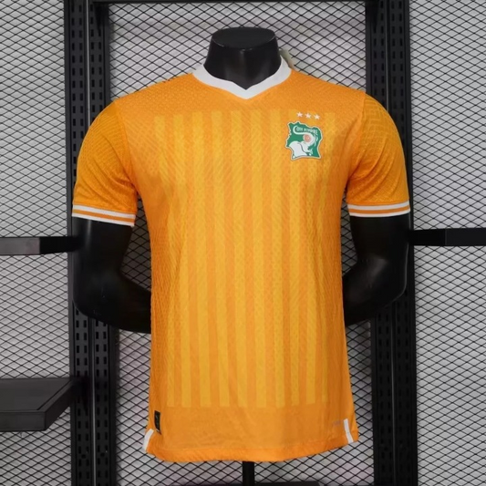 Côte d'Ivoire Maillot Domicile Version Player 2023 2024