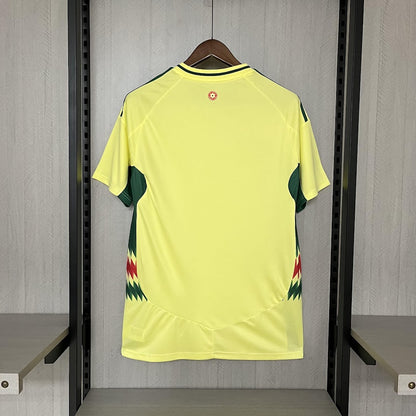 Pays de Galle Maillot Extérieur Version Fan 2024 2025