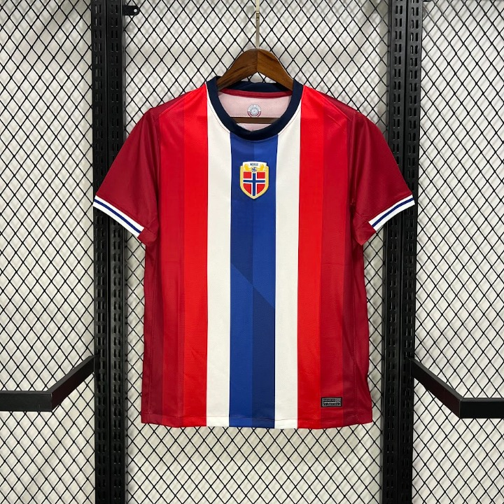 Norvège Maillot Domicile Version Fan 2024 2025